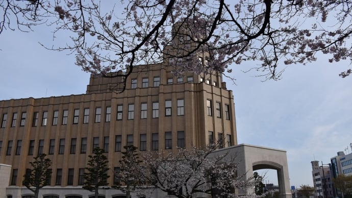 ソメイヨシノ狩り 福井県福井市 第39回ふくい桜まつり:さくら通り(2)福井地方・家庭・簡易裁判所の桜