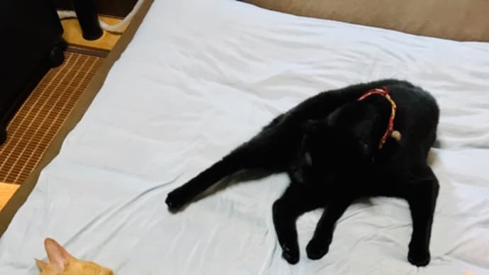 猛暑の正しい乗り切り方法