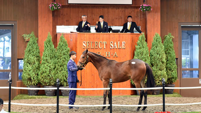JRA競走に勝ったセール出身馬紹介(2020/9/5-6、メイケイエールが小倉2歳S優勝)