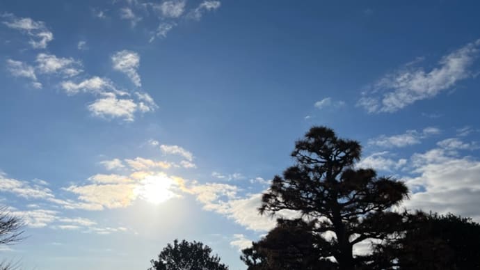 1/11今日はLSD15㎞(よくわからん!)