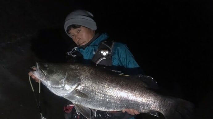 標識放流630号(2022年度65号)