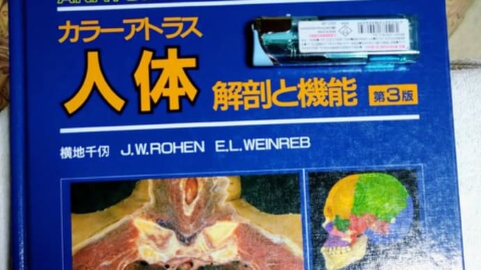 【閲覧注意】【短文投稿】体調を崩す・後編その1、汎用性の高い重大な仮定に到達、悩んでいる女性は多そうだが光明となれば幸いである