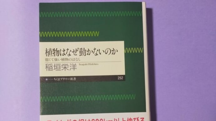 植物はなぜ動かないのか