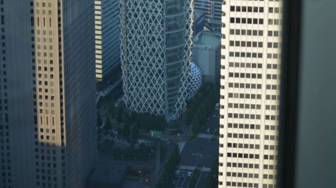 新宿の「モード学園 コクーンタワー」おしゃれ * ギンザシックスは、シャネルに辻利ソフトもね。　