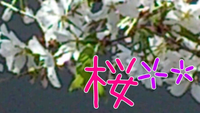 春