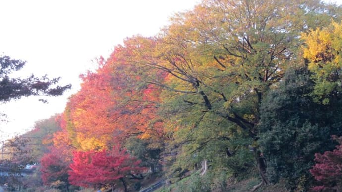 105点の壁(京都検定)