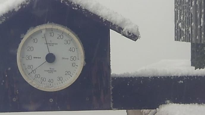 雪になった