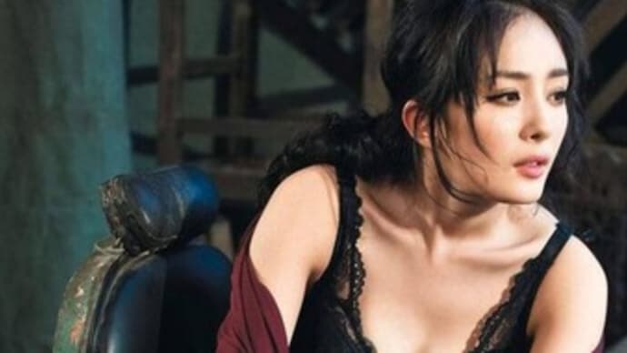離婚したヤン・ミー(楊冪)とハウィック・ラウ(劉愷威)の地位差