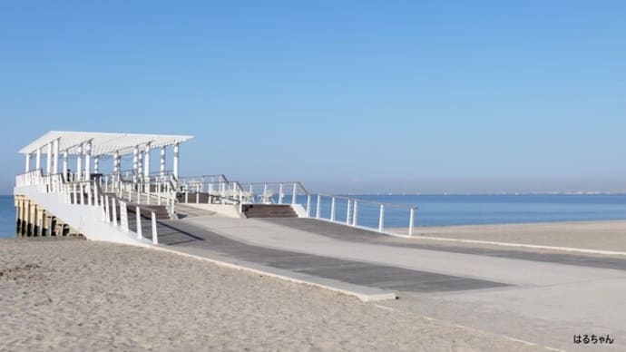 海浜公園