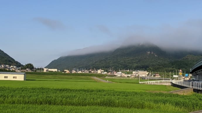 お墓参り
