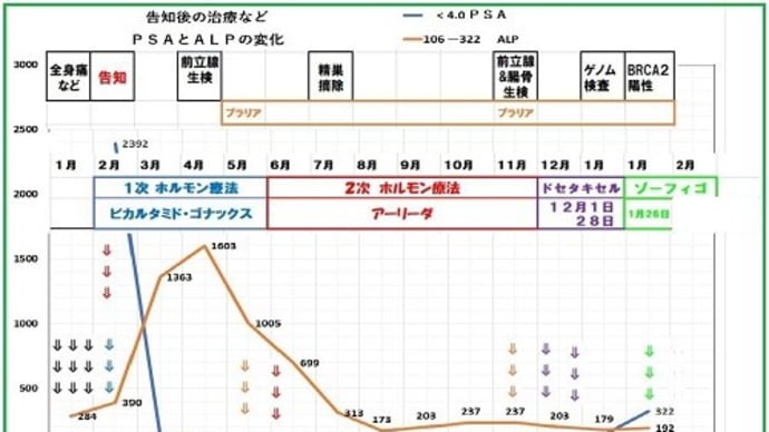 ◆告知から【２年目】=２０２１年の経過のまとめ／腫瘍マーカー　PSAはジェットコースターのように上下／アクシデントが多かった／話せる主治医との出会い／緩和的放射線療法で痛み対策ができる