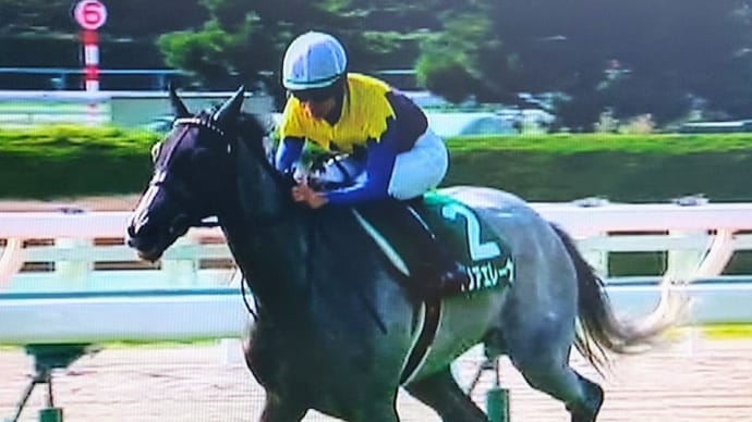 🐴きょうのおうまさん(22/8/16) クラスターC・👑王冠賞