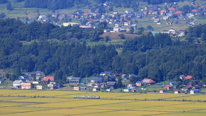 美しい水田地帯を行く気動車