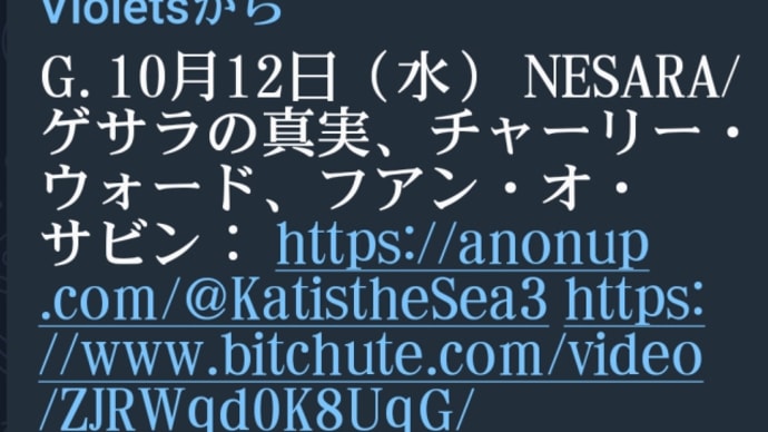 ゲサラ10月〜11月!バイデンは混乱の中で憲法修正第25条を利用して即座に解任される!ネサラ・ゲサラは早い段階でリリースされる!トランプ逮捕は裏の作戦