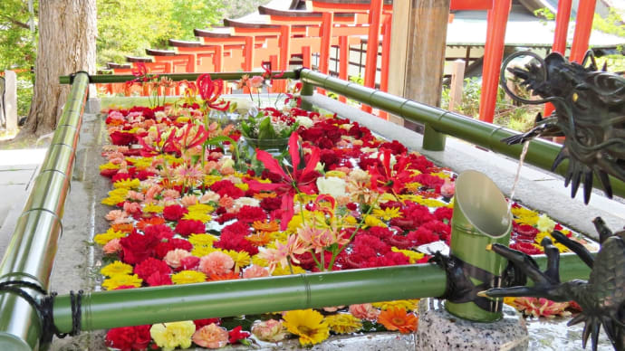 小樽・住吉神社の花手水と旧日銀小樽支店と。～【そうだ小樽へ行こう（2023年初夏・午前編）】～