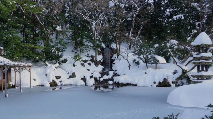 ●大雪の兼六園(3) 瓢池 翠滝 海石塔 鳥のルリビタキの♀?