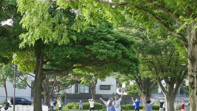夏の朝の虫撮り写ん歩