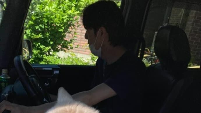 犬と猫との暮らし～シー子さん車に乗れて喜んでいるかな💕三郷公園