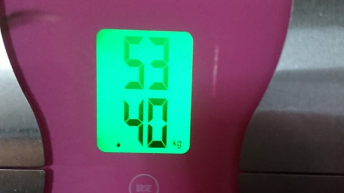 ダイエット163日目