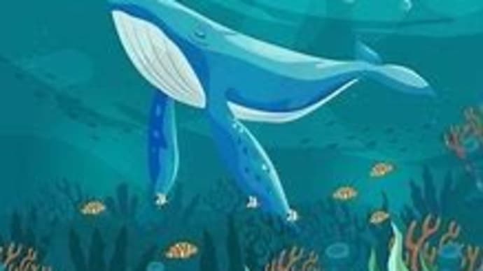世界海洋デー!( `ー´)ノ
