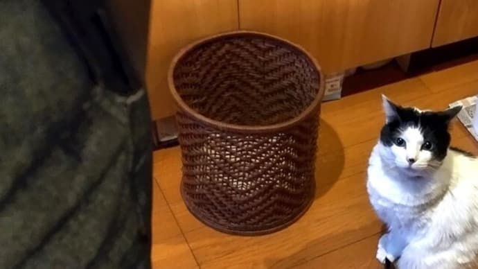 明日はお酒の話題です。