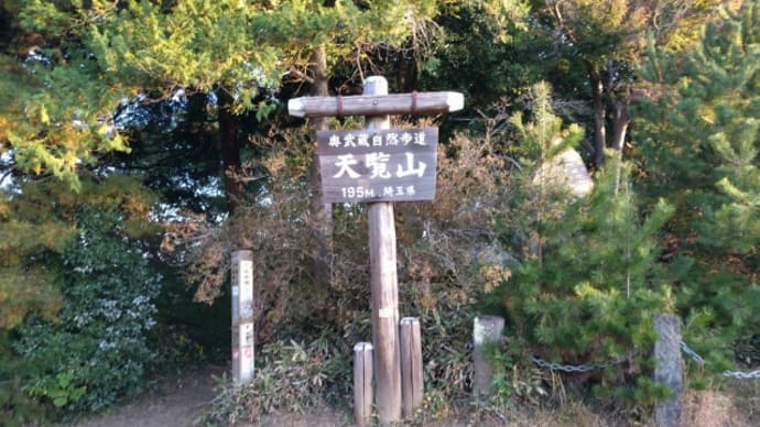 山歩きからの映画