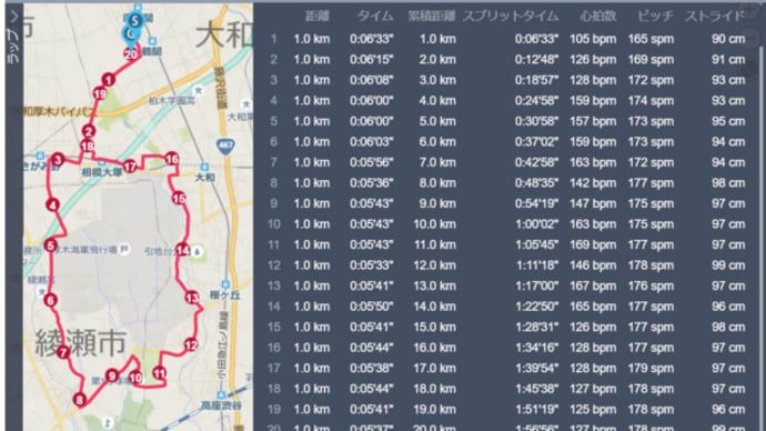 厚木飛行場1周20km走 & 心房細動
