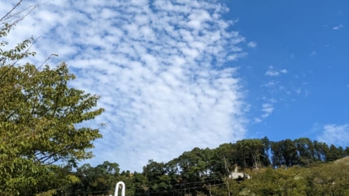 空を見上げる日が多い
