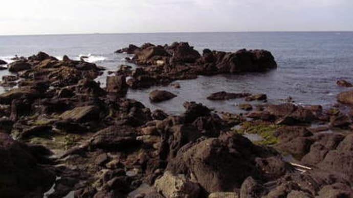 野島崎の磯