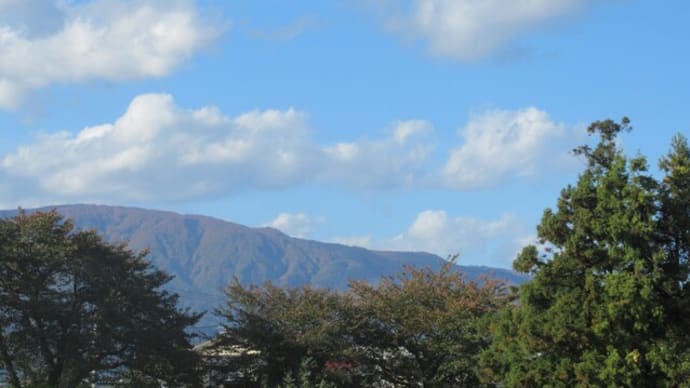 川西ダリヤ園 3 ~ 令和5年度新品種名称