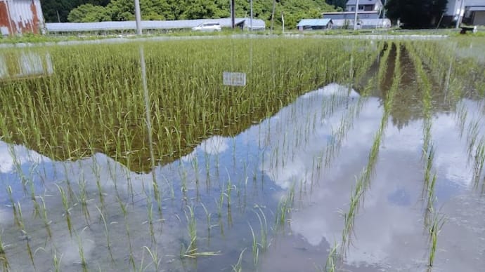 褒めてやるぞ、俺!