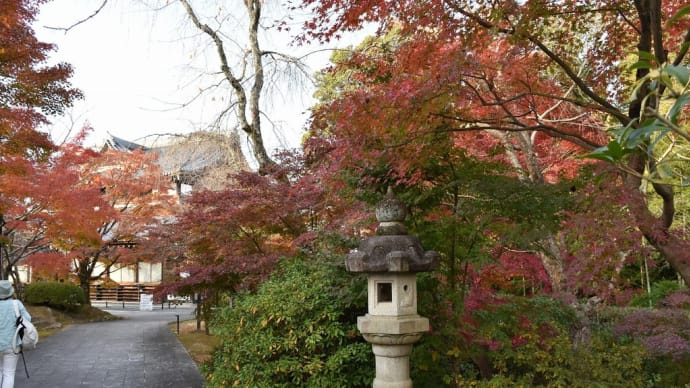 もみじ狩り 京都府山科区 紅葉名所めぐり1日目 【4】-(3)天台宗 青蓮院門跡 将軍塚青龍殿 青龍殿ともみじ