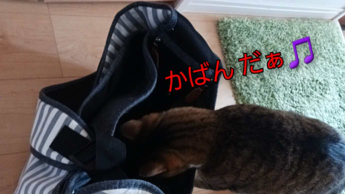 またまた病院へ