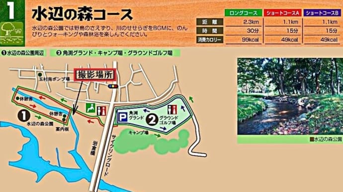 「玉村・水辺の森公園」で咲く 彼岸花
