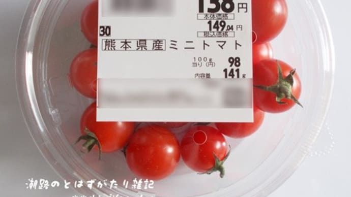 いのちの器95と久しぶりの野菜