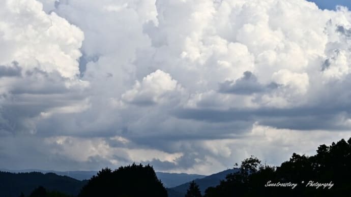 暑さと急な雨が続きます