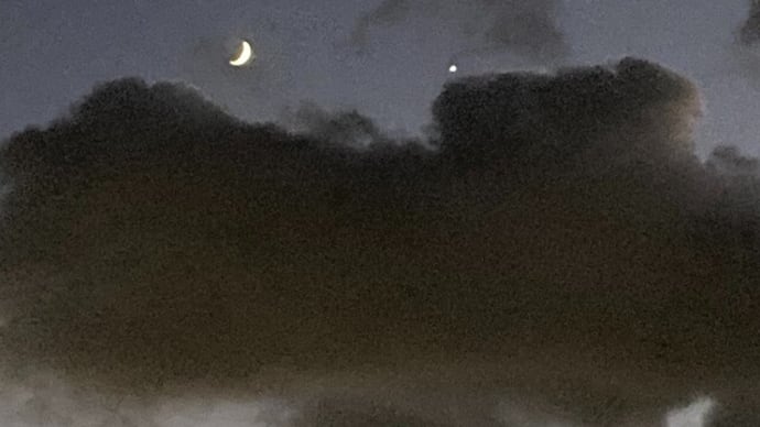 母は父より4つ歳上だった