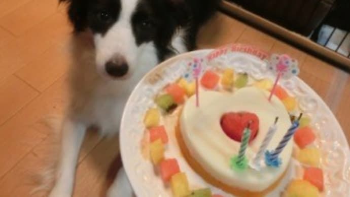 Aお誕生日2021~3歳になりました