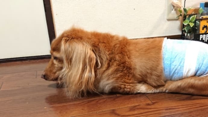 自分から立つこと。