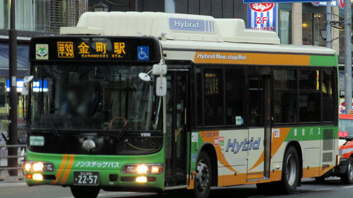 Z-V295