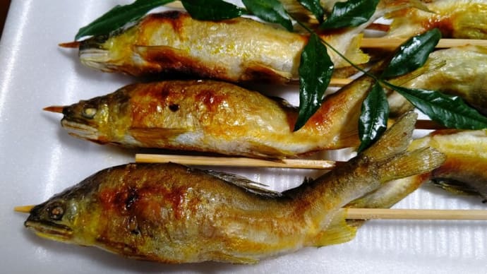 九頭竜川の恵み、鮎の塩焼き!