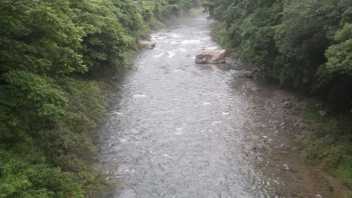 高めの那比川・亀尾島川で鮎釣り！