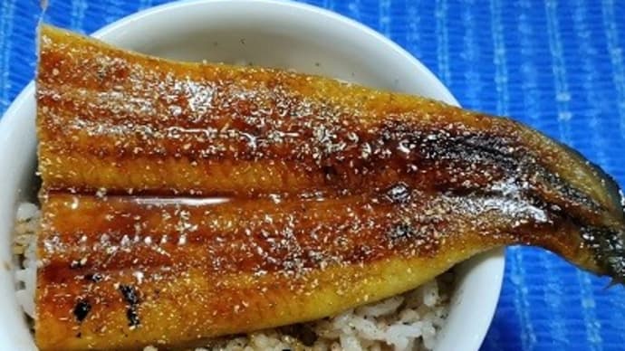 【02/17昼食】三重県産鰻蒲焼尾側鰻丼、鰻キタ――(゚∀゚)――!!