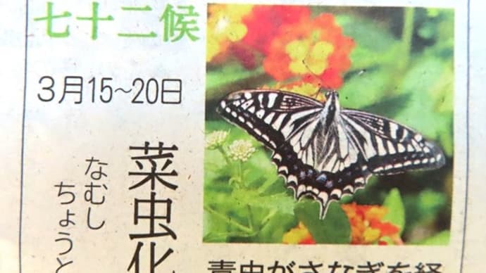 春うらら