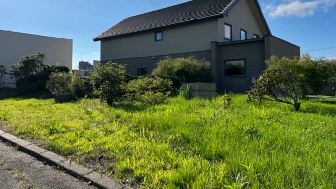 お天道さんに見つめられながら草刈り