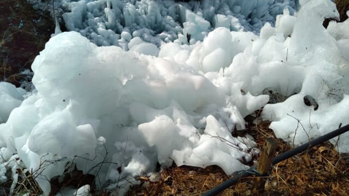 氷の世界