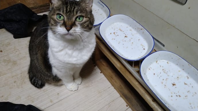 久しぶりだからそう感じたか?