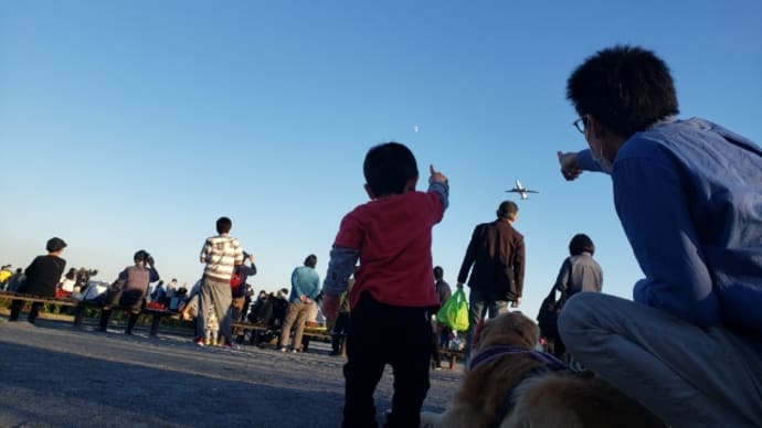 飛行機を見に//りんの主張(笑)