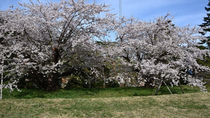 昨日の昼遊びです　函館元町配水場