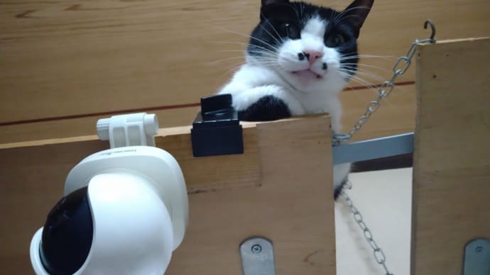 行きはよいよい帰りは (-ω-;)ハァ